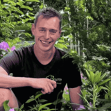 Arie Boom, Boom Tuinen